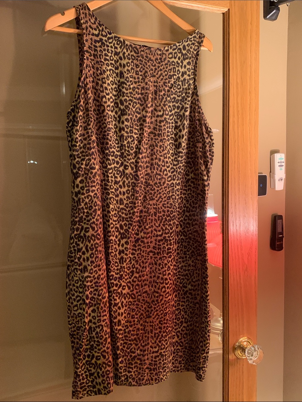 Leopard Print Sleeveless Rayon Dress